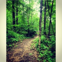 This picture is of one of the trails at the summer camp.