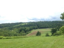 View from a hill on the camp property.